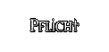 Pflicht